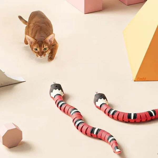 Funny Snake Toy