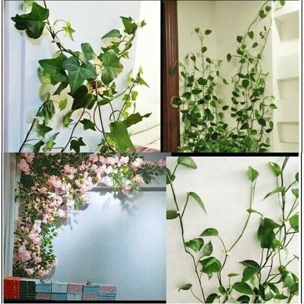 Plant Climbing Wall Fixture