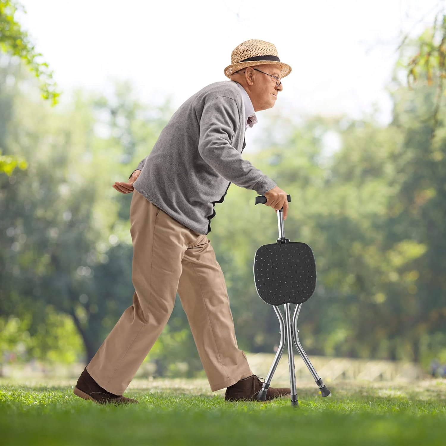 Portable Cane Chair