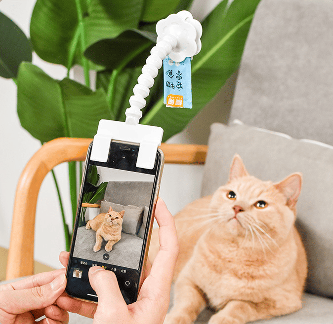 Pet Selfie Artifact