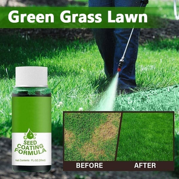 Last Day 75% OFF - GreenRevive HydroSeeding Lawn SolutionLIMITED TIME OFFER