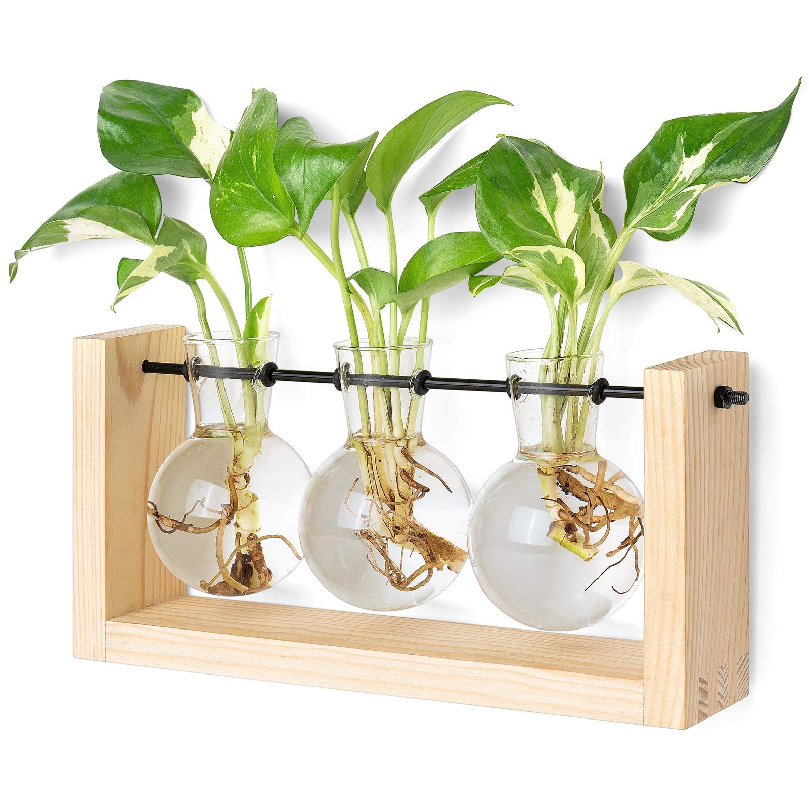 ✨Last Day 48% OFF-Plant breeding station