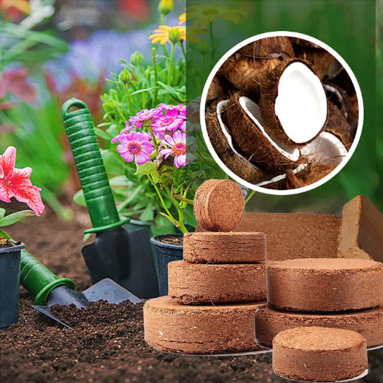 2024 New Products-Premium- Organic Coconut Coir Bricks for Plants