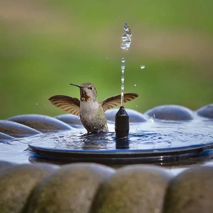 Solar Powered Water Fountain(Buy 2 Free Shipping)