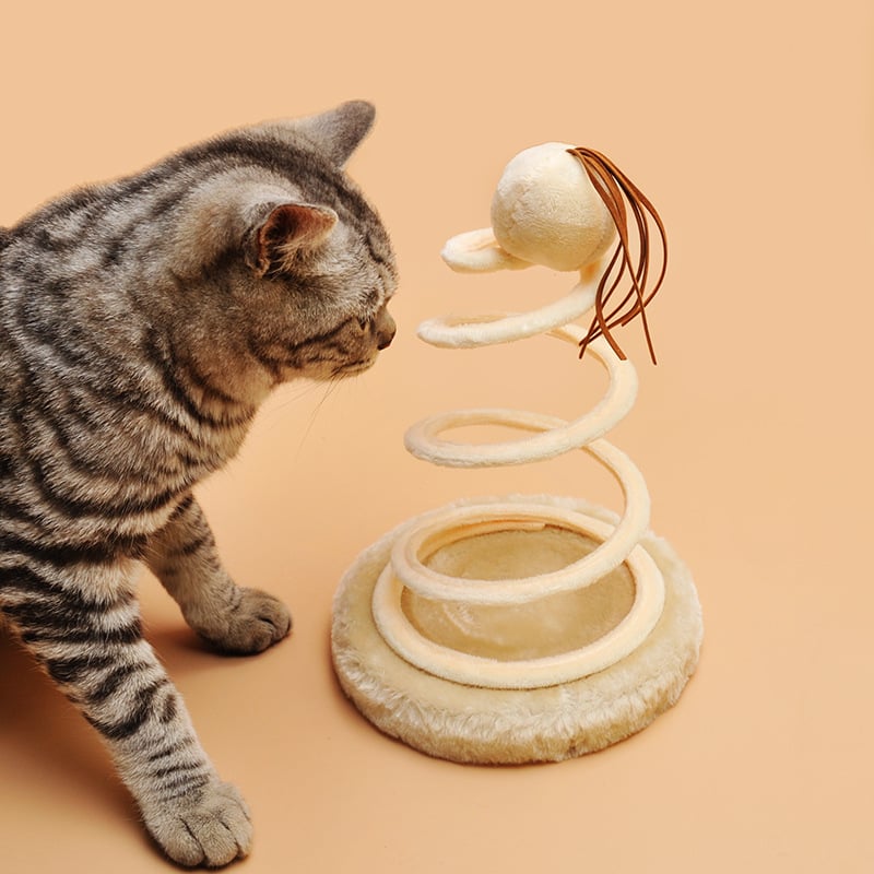 Spring Spiral Cat Toy