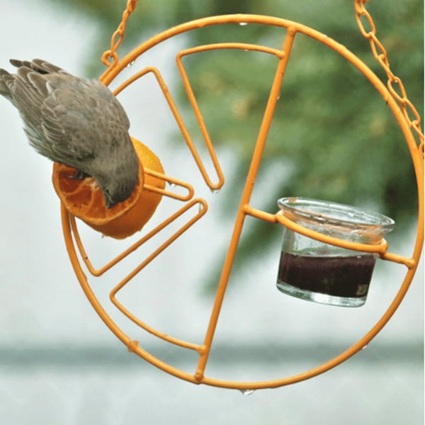 47% OFF2 in 1 Hanging Clementine Hummingbird Oriole Feeder