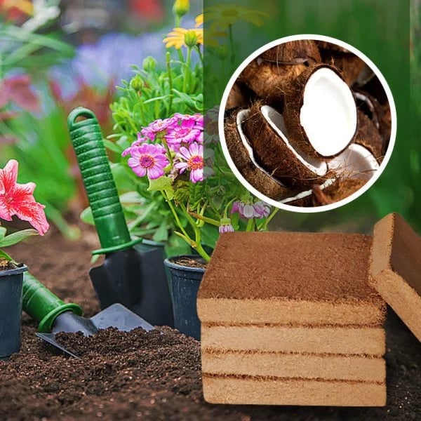 Mother's Day Promotion- 50% OFFOrganic Coconut Coir for Plants- ONLY $14.99!!!