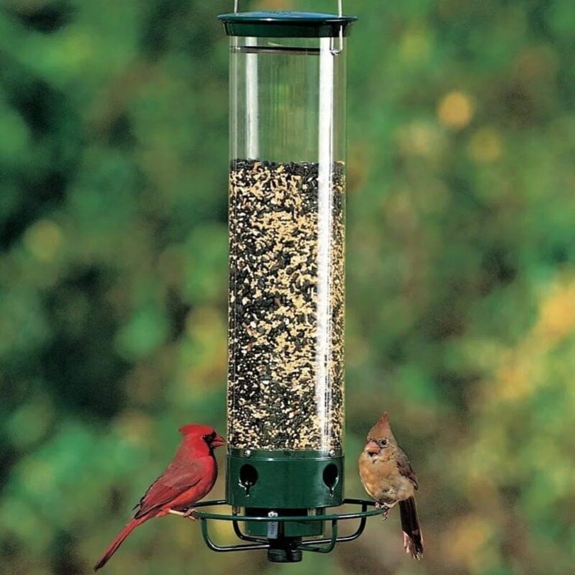 New Spring 2024100% Squirrel-Proof Bird Feeder