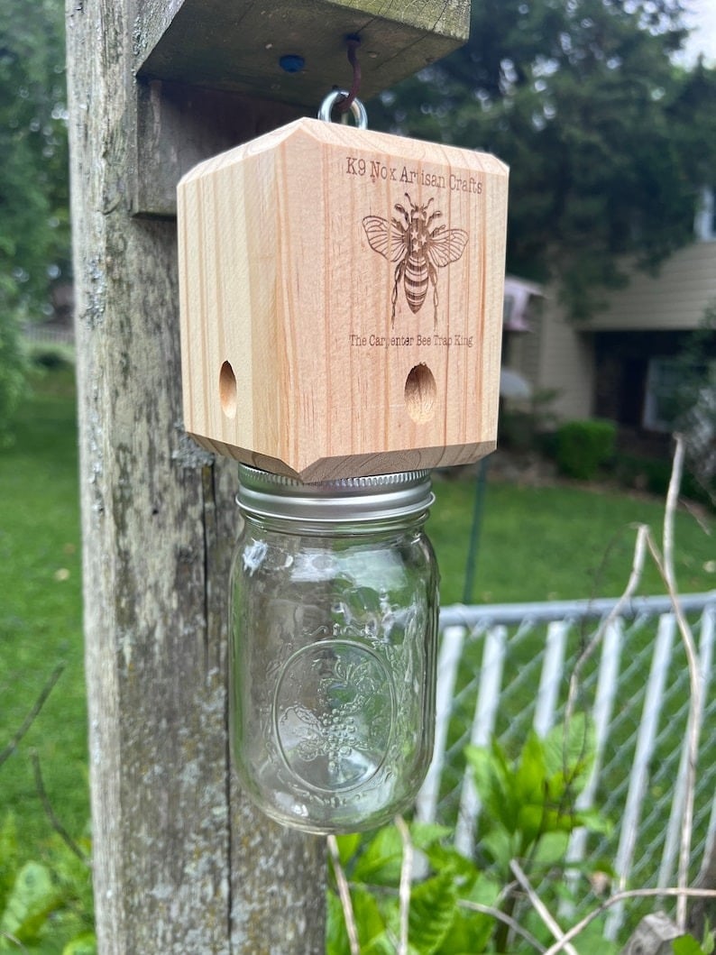 Hot Sale 49% OFF - Best Carpenter Bee Trap