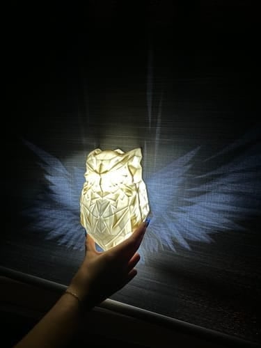 Hot  Sale 49% Off - Spread The Wings Modern Luminous Lamp