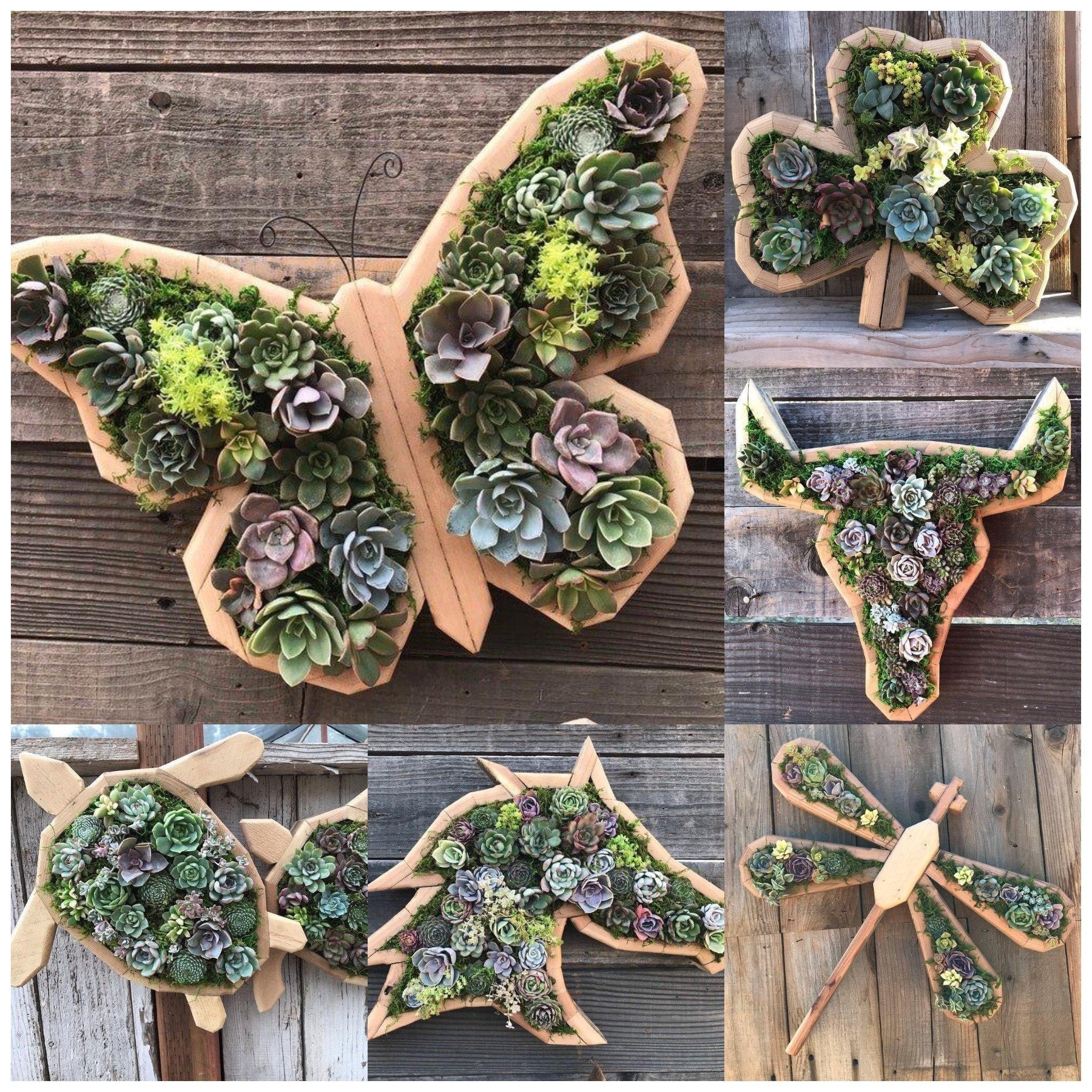 Clearance Sale - 49% OFF 2023 Arosebrden® Animal Succulent Garden Arrangement