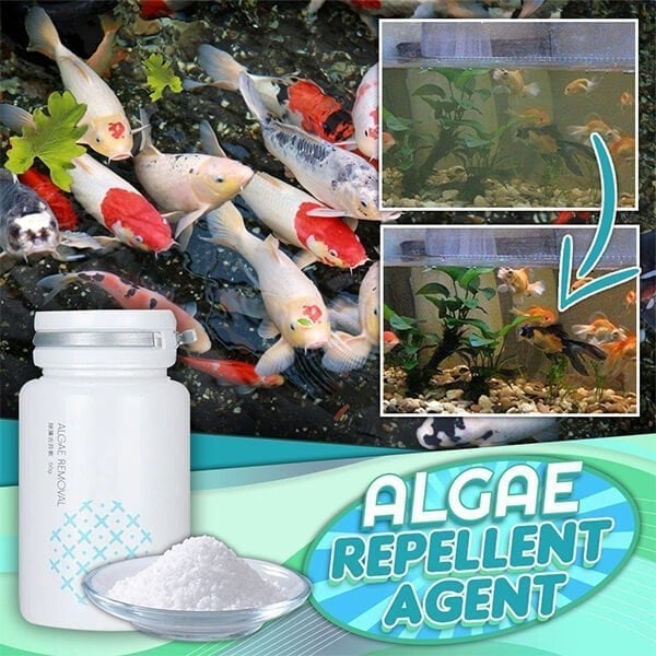 (2024 New Year Hot Sale)  49% OFF - NEW Algae Repellent Agent